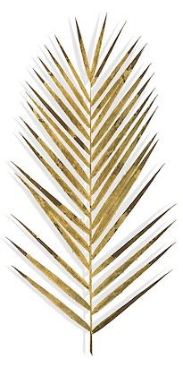 30 x 60 Alchemy Palm II (GG)