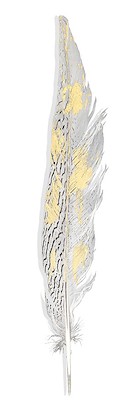 24 x 72 Alchemy Dreamfeather III (GG)