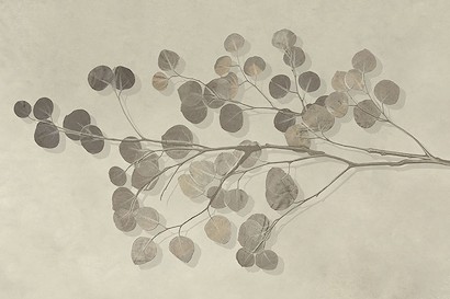 60 x 40 Garden on Glaze II (IBG)