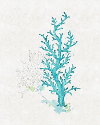 20 x 25 Sea Garden II (IBG)