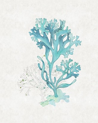 20 x 25 Sea Garden IV (IBG)