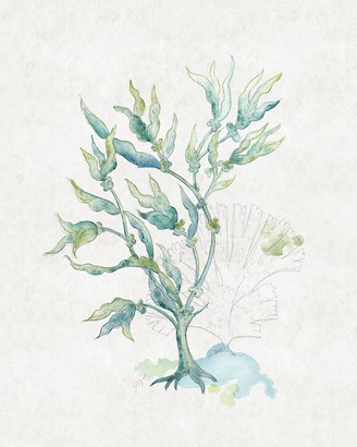 20 x 25 Sea Garden V (IBG)
