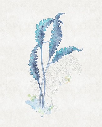 20 x 25 Sea Garden VI (IBG)
