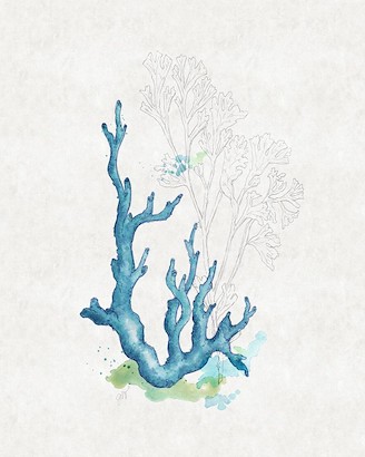 20 x 25 Sea Garden VIII (IBG)
