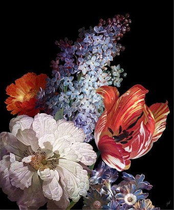 24 x 29 Dutch Garden X-Black (IBG)