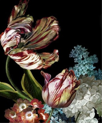 24 x 29 Dutch Garden XI-Black (IBG)