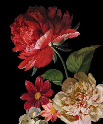 24 x 29 Dutch Garden XII-Black (IBG)