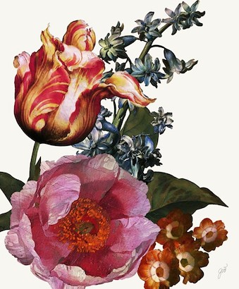 24 x 29 Dutch Garden I-White (IBG)