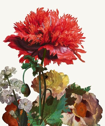 24 x 29 Dutch Garden III-White (IBG)
