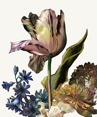 24 x 29 Dutch Garden IV-White (IBG)