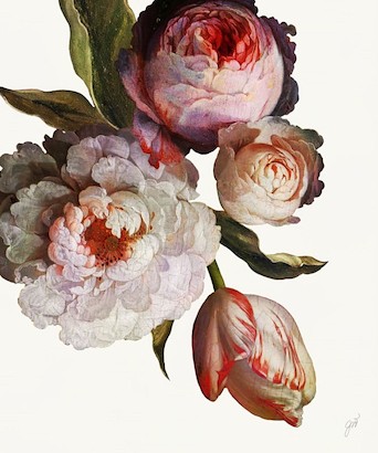 24 x 29 Dutch Garden V-White (IBG)