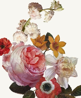 24 x 29 Dutch Garden VII-White (IBG)