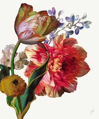 24 x 29 Dutch Garden VIII-White (IBG)
