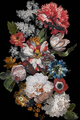 30 x 45 Floriluna I (IBG)