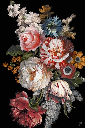 30 x 45 Floriluna II (IBG)