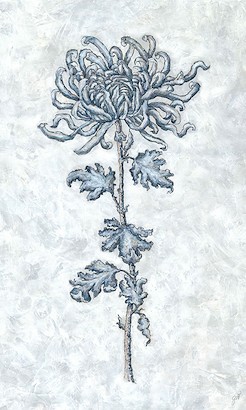 24 x 40 Modiglianish II (IBG)