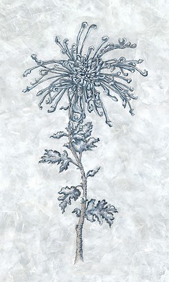 24 x 40 Modiglianish III (IBG)