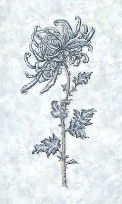 24 x 40 Modiglianish IV (IBG)