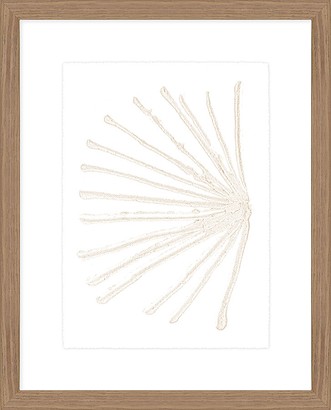 20 x 27 White Shadow III (HP-LN)