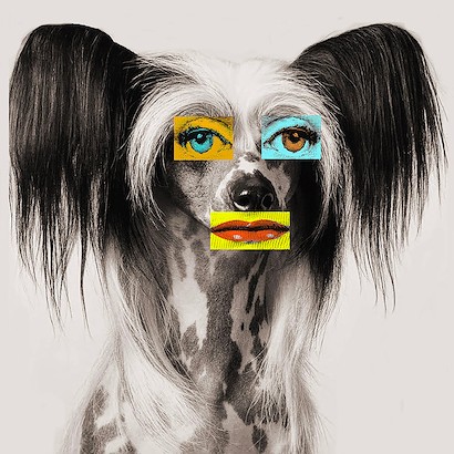 24 x 24 Doggie (IBG)