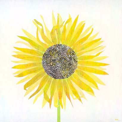 24 x 24 Sun Flower Fun (IBG)