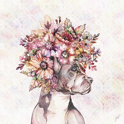 24 x 24 Dog Floralista I (IBG)