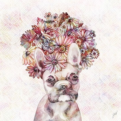 24 x 24 Dog Floralista II (IBG)