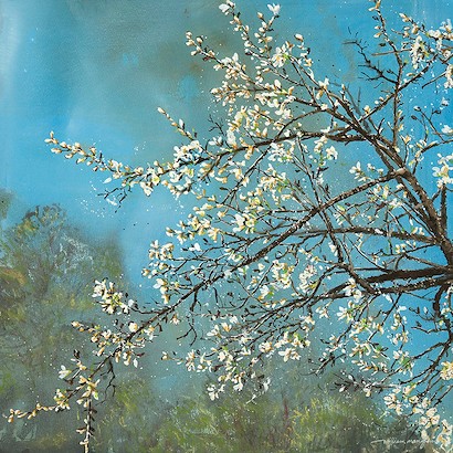 40 x 40 Spring Blossoms II (IBG)