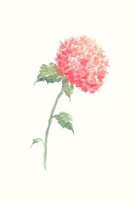 24 x 36 Fleur D?licate V (IBG)