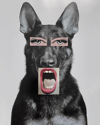 24 x 30 Doggie Big Mouth (IBG)