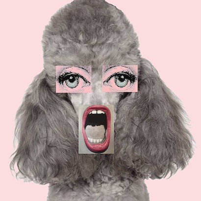 24 x 24 Pink Poodle Mouth (IBG)