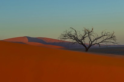 54 x 36 Namibia Desert Morning I (IBG)