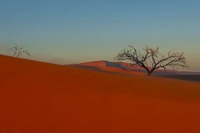 54 x 36 Namibia Desert Morning III (IBG)