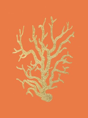 18 x 24 Coral Reefs I (NG)