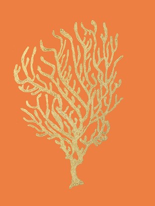18 x 24 Coral Reefs V (NG)