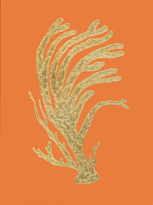 18 x 24 Coral Reefs III (NG)