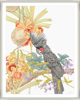 24 x 30 Adventures of the Palm Cockatoo (GF)