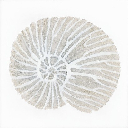 30 x 30 Art of Seashell II (NG)