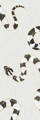 24 x 72 Temptation V (LUXE2)