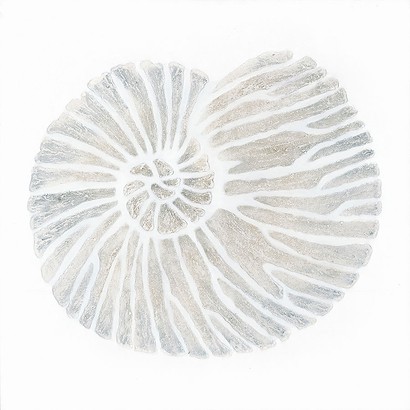 30 x 30 Art of Seashell I (NG)