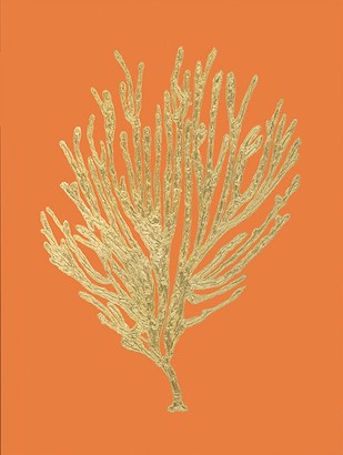 18 x 24 Coral Reefs IV (NG)