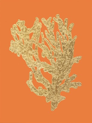 18 x 24 Coral Reefs II (NG)