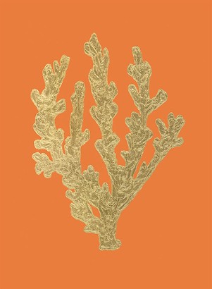 18 x 24 Coral Reefs VI (NG)