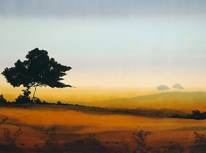 63 X 47 Golden Glow III (IBG)