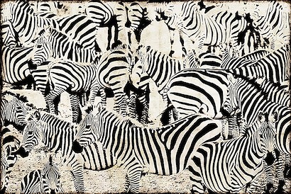 60 X 40 Zebra Abstraction (IBG)