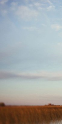 20 x 40 Late Summer Daydream I (PX)