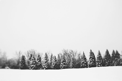 60 x 40 Pine Line II (MT)