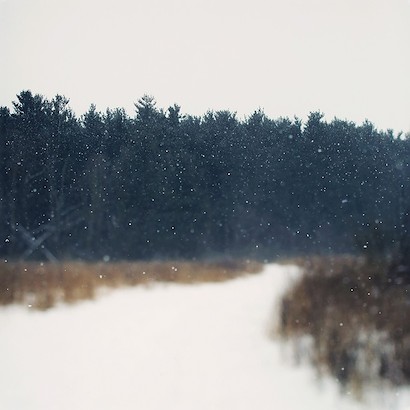40 x 40 Winter Field (MT)