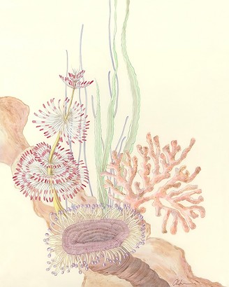 24 x 30 Love Your Anemones (IBG)