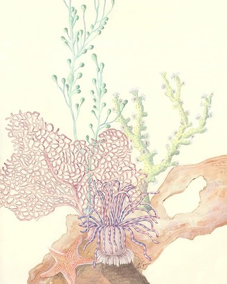 24 x 30 A Coral Obligation (IBG)